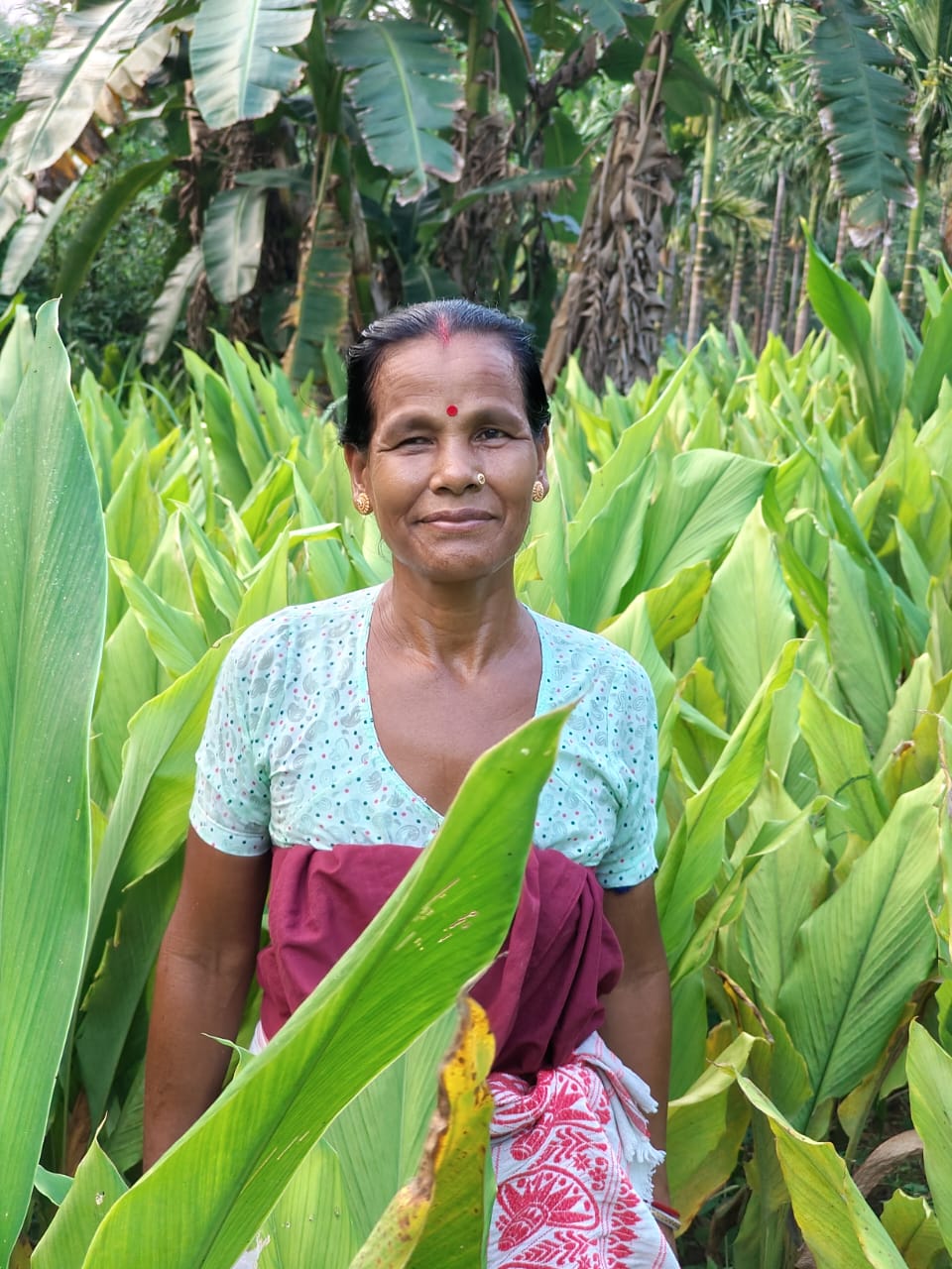 Turmeric Farmer
